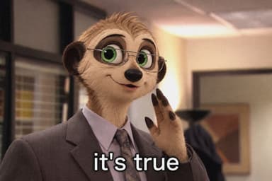 A $NEARKAT meme